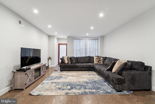 living room featuring wood-type flooring