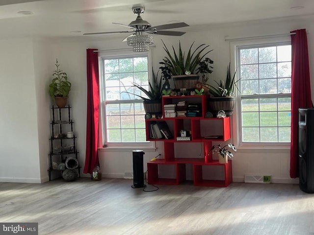 dining room featuring ceiling fan, wood-type flooring, and a wealth of natural light