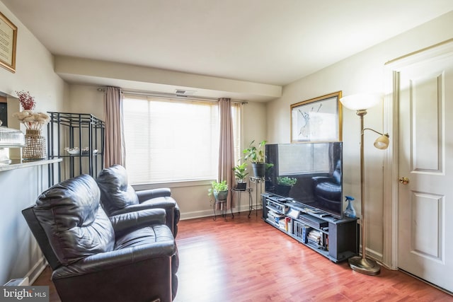 living room with hardwood / wood-style flooring