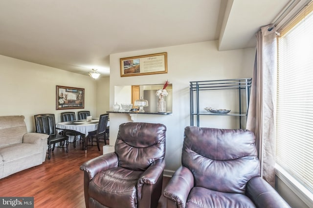 living room featuring dark wood-type flooring