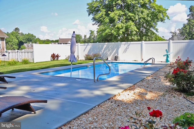 view of swimming pool