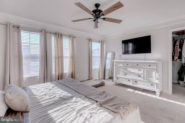 bedroom featuring crown molding, carpet floors, a closet, and ceiling fan