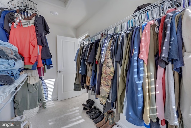 walk in closet featuring carpet