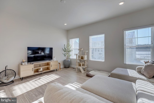 living room with light wood-type flooring