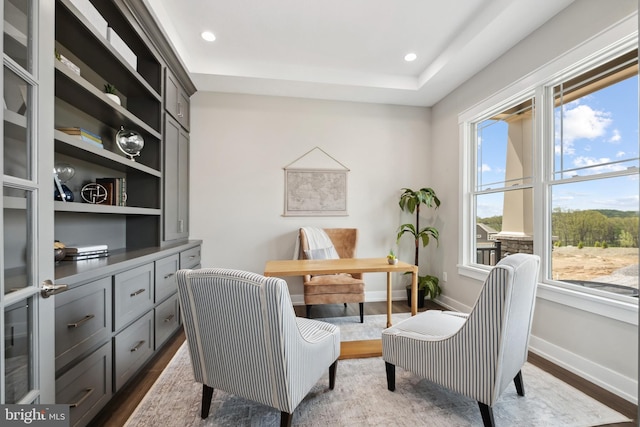 sitting room featuring dark wood-type flooring and plenty of natural light