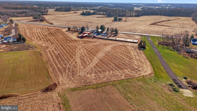 birds eye view of property featuring a rural view