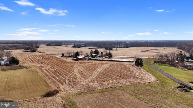 birds eye view of property featuring a rural view