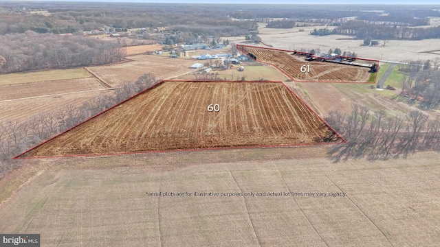 bird's eye view featuring a rural view