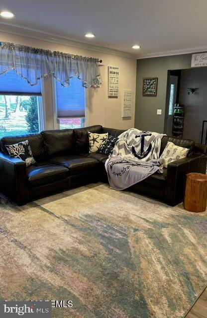 living room with crown molding and hardwood / wood-style floors