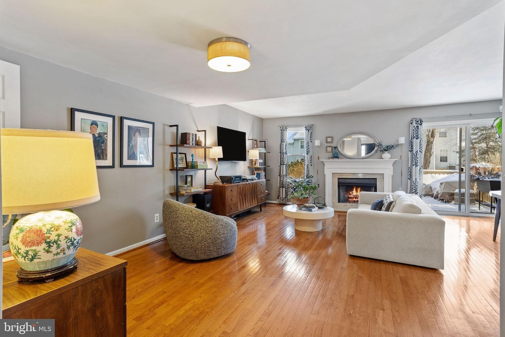 living room featuring wood-type flooring