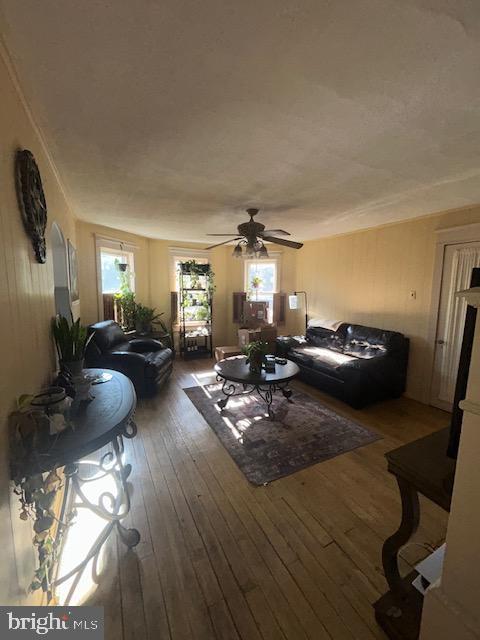 living room featuring ceiling fan and wood-type flooring