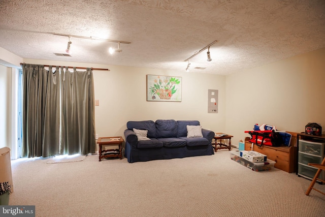 living room with carpet flooring, a textured ceiling, and rail lighting