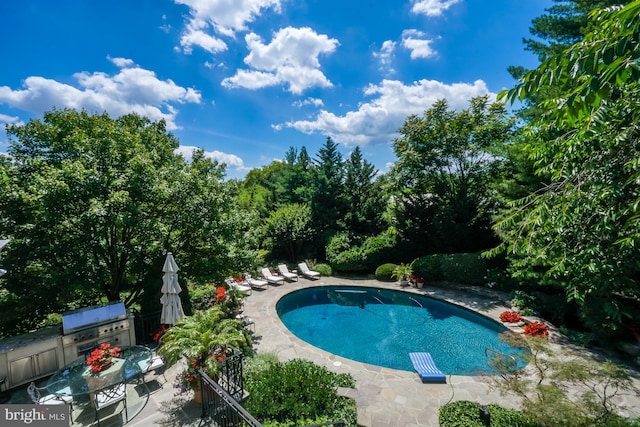 view of pool featuring an outdoor kitchen, a patio area, and grilling area