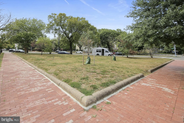 view of community featuring a lawn