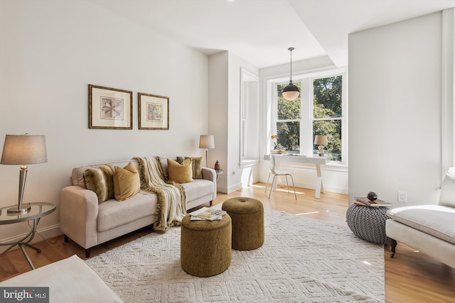 living room featuring light hardwood / wood-style flooring