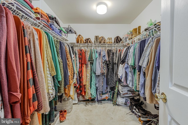 spacious closet with carpet floors