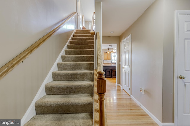 staircase featuring wood-type flooring and a wealth of natural light