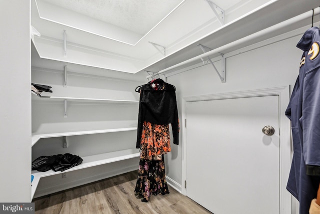 walk in closet featuring light wood-type flooring