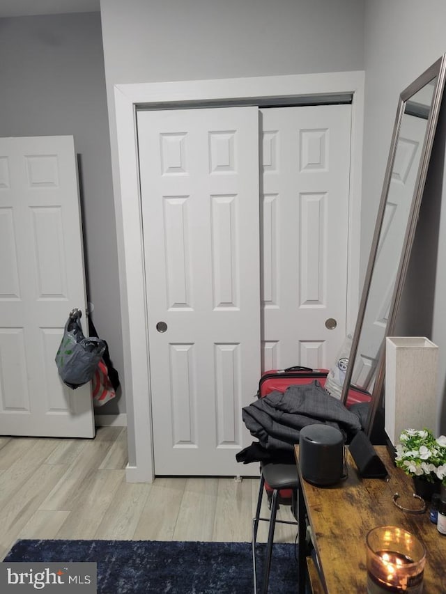 interior space featuring light hardwood / wood-style floors and a closet