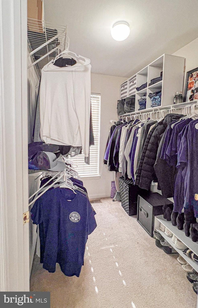 walk in closet with carpet floors