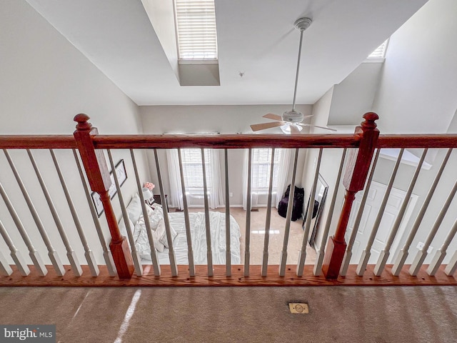 stairs featuring carpet flooring and ceiling fan