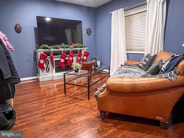 living room with wood-type flooring