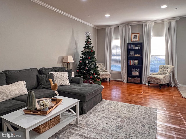 living room featuring crown molding and hardwood / wood-style floors