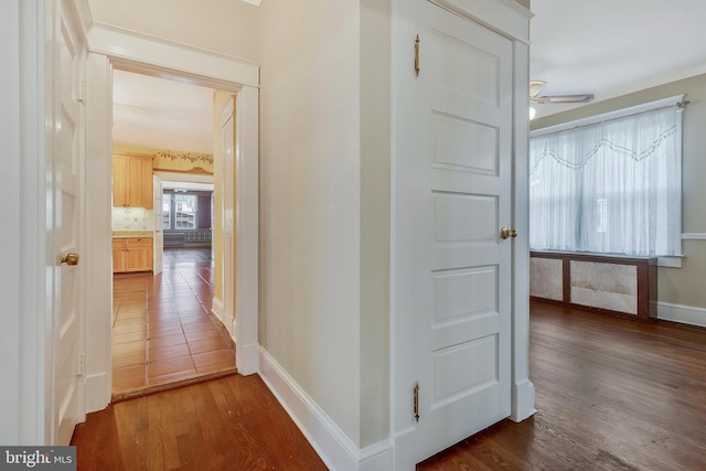 hallway with dark wood-type flooring