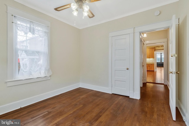 spare room with crown molding, dark wood-type flooring, and ceiling fan