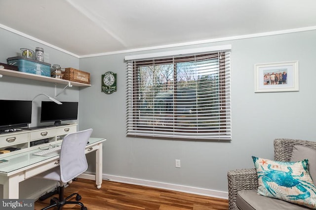 office space featuring crown molding and dark hardwood / wood-style flooring