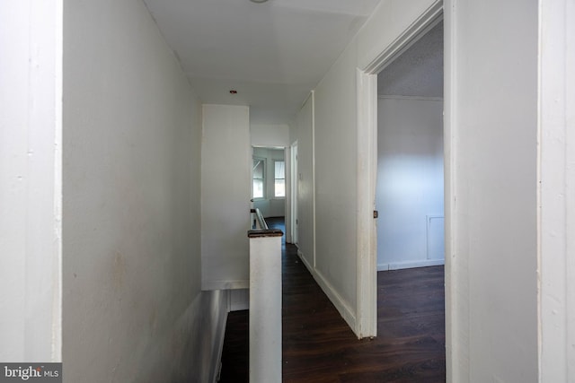 hall featuring dark hardwood / wood-style flooring