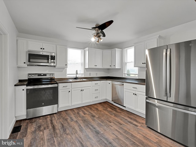 kitchen featuring a wealth of natural light, dark hardwood / wood-style flooring, sink, and appliances with stainless steel finishes