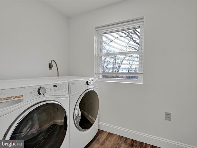 laundry area featuring separate washer and dryer and dark hardwood / wood-style floors