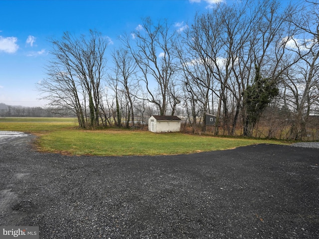 view of yard featuring a shed