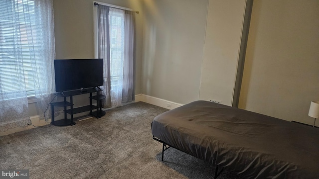 bedroom with multiple windows and carpet floors