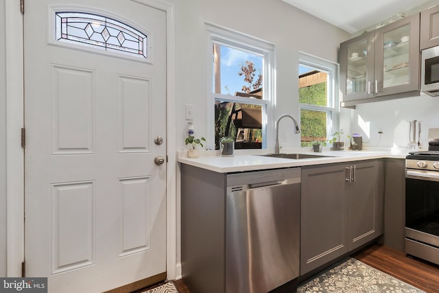 kitchen featuring stainless steel appliances, dark hardwood / wood-style floors, gray cabinetry, and sink