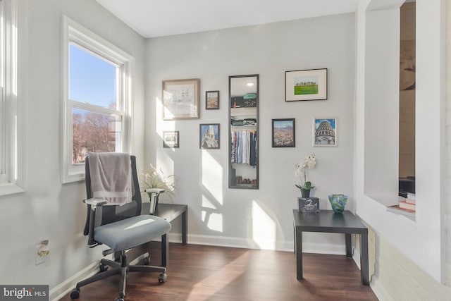 sitting room with dark hardwood / wood-style flooring