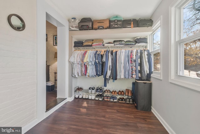 spacious closet featuring dark hardwood / wood-style flooring