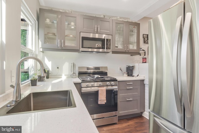 kitchen featuring a wealth of natural light, sink, dark wood-type flooring, and appliances with stainless steel finishes