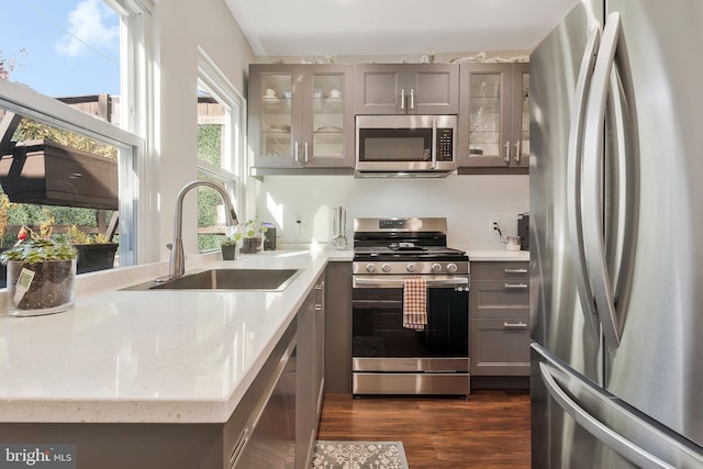 kitchen with gray cabinets, sink, stainless steel appliances, and dark hardwood / wood-style floors