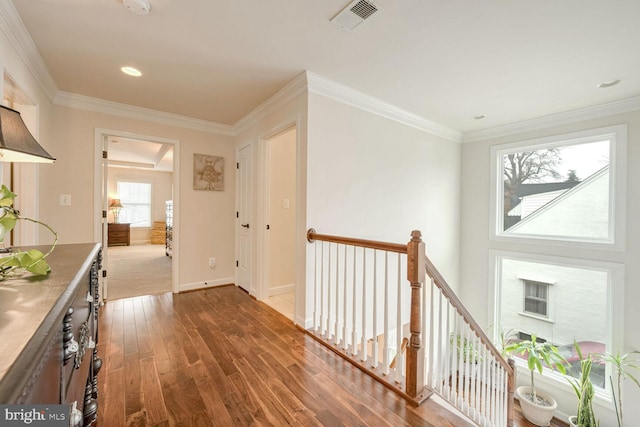 hall with dark hardwood / wood-style flooring and crown molding