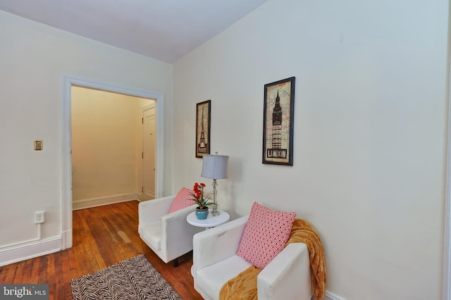 living area featuring dark wood-type flooring