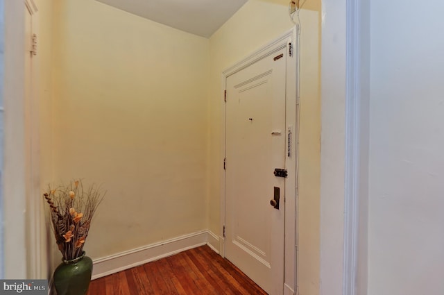 entryway featuring dark wood-type flooring