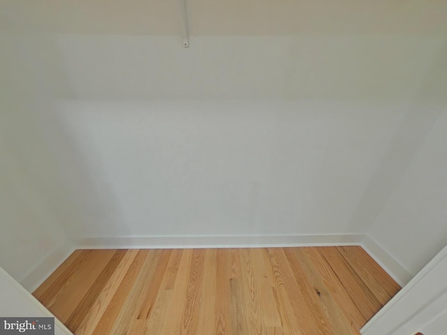 walk in closet featuring wood-type flooring