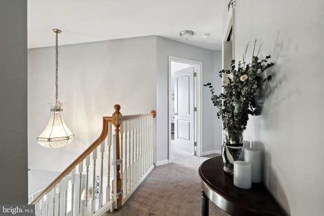 hallway with carpet floors