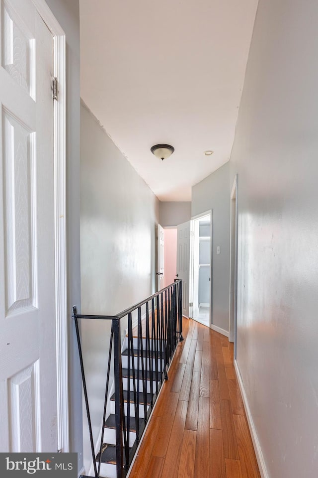 hallway with wood-type flooring