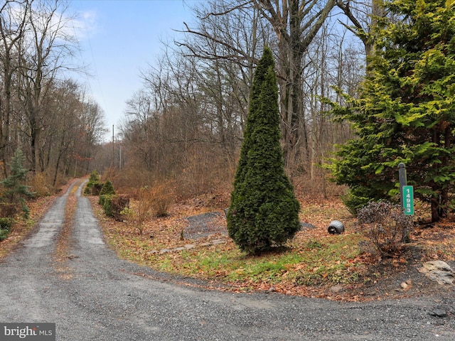 view of road