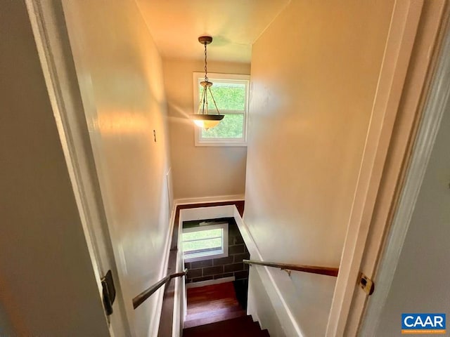 stairs featuring a healthy amount of sunlight and wood-type flooring