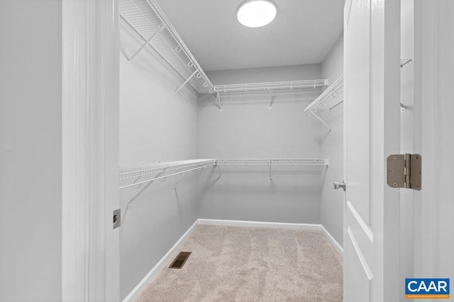 spacious closet with light carpet