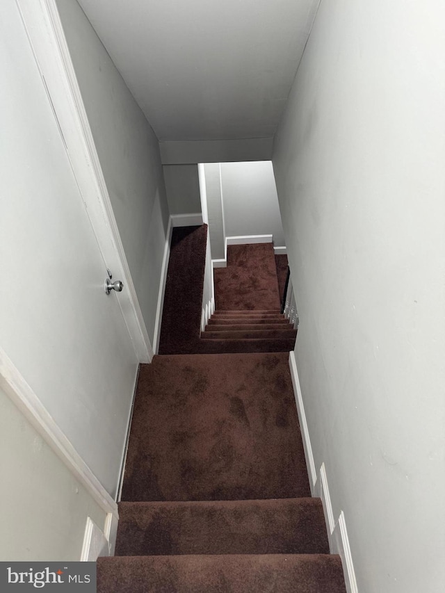 stairway with carpet